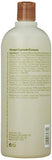 Aveda Shampoo Bottles, rosemary mint 33.8 Fl Oz