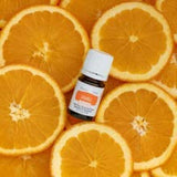 Young Living Vitality Orange Essential Oil 5ml Bottle - Zesty and Refreshing Citrus Flavor - 100% Pure and Natural - Cold-Pressed and Fresh -- 100% Pure and Therapeutic Grade