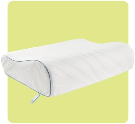 SEALY Dreamlife Standard Size Contour Memory Foam Pillow with Surface Guard Technology, Removable Machine-Washable Cover, 1 Year Limited Warranty