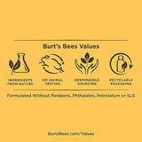 Burt's Bees Mama Bee Belly Butter, Fragrance Free Lotion, 6.5 Ounce Tub