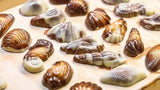 GUYLIAN Belgian Chocolate Seashells Gift Box (250g): Each Contains Twenty-Two Pieces of Silky Smooth Seashell-Shaped Milk Chocolate with a Creamy Hazelnut Praliné Filling (Pack of 1)