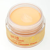 SKINFOOD Salmon Dark Circle Concealer Cream #1 - Concealer for Dark Circles - Under Eye Concealer for Dark Spots and Wrinkles - Full Coverage Under Eye Concealer - 0.35 Oz/10 g (Salmon Blooming)