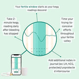 kegg Fertility Tracker + Free Fertility App | 12-month pregnancy warranty | No Recurring costs | Predicts Fertile Window | Helps Exercise Pelvic Floor Muscles