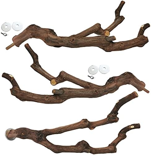 kathson Natural Parrot Perch Bird Stand Pole Wild Grape Stick Paw Grinding Fork Parakeet Climbing Standing Branches Toy Chewable Cage Accessories for Small Budgies Cockatiels Lovebirds 3PCS
