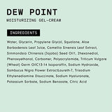 Versed Dew Point Gel Cream Moisturizer - Antioxidant-Rich Gel Cream with Green Tea Extract + Aloe Leaf Juice - Fast Absorbing, Non-Greasy Hybrid Facial Cream for Dry Skin, Vegan (2 fl oz)