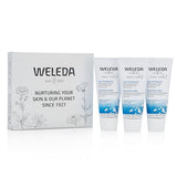 Weleda Natural Salt Toothpaste. 2.5 Fluid Ounce (Pack of 3)