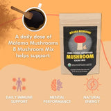 8-Mushroom Hot Cacao Mix by Malama, Organic Fruiting Body Mushroom Blend featuring Lion's Mane, Reishi, Cordyceps, Chaga, Turkey Tail, Superfood Adaptogenic Unsweetened Mushroom Cacao Mix