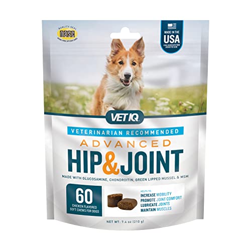 VetIQ Advanced Hip & Joint Chews For Dogs, 60 Count, Chicken Flavored Supplements Made with Glucosamine, Omega 3’s, Chondroitin, MSM, and Green Lipped Mussel, Increases Mobility and Maintains Muscles