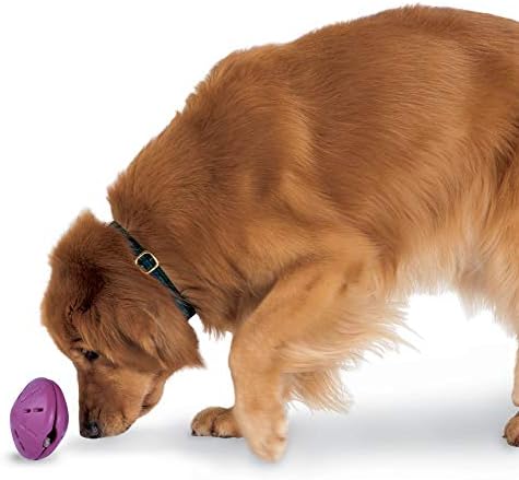 PetSafe Busy Buddy Twist 'n Treat Dispensing Dog Toy - Large