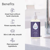 Puracy Organic Hand Soap, For the Professional Hand Washers We've All Become, Moisturizing Natural Gel Hand Wash Soap, Liquid Hand Soap Refills for Soft Skin (12 fl.oz, Lavender & Vanilla) 2-Pack