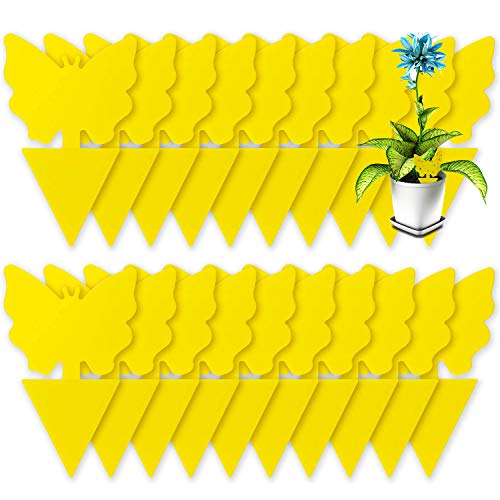 80 Pack Yellow Sticky Traps, Fruit Fly Fungus Gnat Trap for Indoor/Outdoor Use, Houseplant Sticky Bug Insect Catcher Glue Trappers