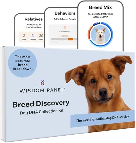 Wisdom Panel Breed Discovery Dog DNA Kit: Most Accurate Dog Breed Identification, Test for 365+ Breeds, MDR1 Health Test, Ancestry, Relatives