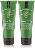 Bath & Body Works Aromatherapy Stress Relief Eucalyptus Spearmint Body Cream 8.0 oz, 226g (2 Pack)