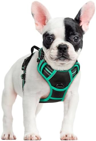 rabbitgoo Dog Harness No Pull with 2 Leash Clips, Adjustable Soft Padded, Reflective Oxford No Choke Pet Vest with Easy Control Handle for Small Dogs, Black & Turquoise, S