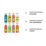 ADVENTURE BOX Calypso Lemonades Made with Real Fruit and Natural Flavors | 8 Flavor Variety,16 Fl Oz (Pack of 8)