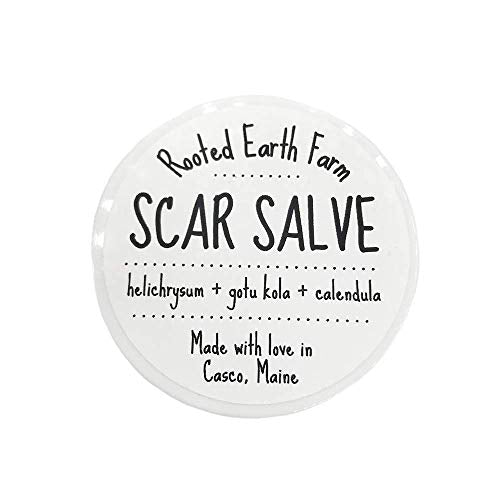 Scar Salve - 1 fl oz - Herbal Infused Cream