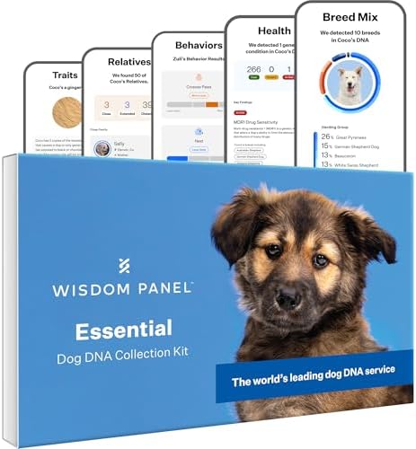 Wisdom Panel Essential Dog DNA Kit: Most Accurate Test for 365+ Breeds, 30 Genetic Health Conditions, 50+ Traits, Relatives, Ancestry - 1 Pack