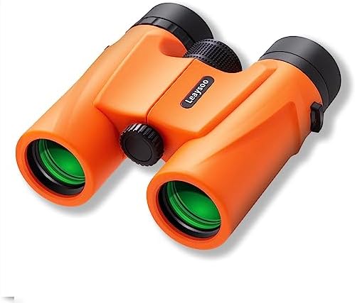 10X32 Compact Binoculars for Adults and Kids,High Powered Small Binoculars, BAK-4 FMC Clear Low Light Vison Waterproof Binoculars for Bird Watching, Concerts, Curise Ship