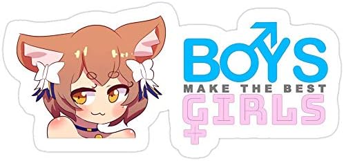 3 PCs Stickers Boys Make The Best Girls, Traps Sticker for Laptop, Phone, Cars, Vinyl Funny Stickers Decal for Laptops, Guitar, Fridge