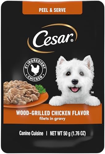Cesar Filets in Gravy Wet Dog Food Wood-Grilled Chicken Flavor, 1.76 oz. Mini-Pouch, 20 Pack
