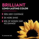 Garnier Hair Color Olia Ammonia-Free Brilliant Color Oil-Rich Permanent Hair Dye, 1.0 Black, 2 Count (Packaging May Vary)