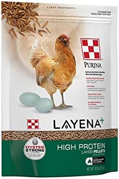 Purina Layena + High Protein Layer Chicken Feed (10 Pound)