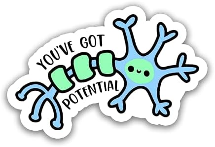 (3pcs)You've Got Potential Cute Neuron Sticker for Phone Case Laptop Tumbler Cars Trucks, Funny Biology Stickers, Kindle Stickers, Book Stickers, Neuro Psychology Decal Decor Gifts (Size 3")