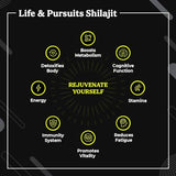 Life & Pursuits Pure Himalayan Shilajit Resin, 1.1 oz | Rich in Fulvic Acid, Trace Minerals | Dietary Supplement for Men and Women | Natural Golden Grade | 60 Days Supply (1.1 Ounce)