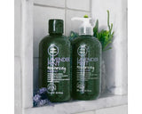 Tea Tree Lavender Mint Moisturizing Shampoo, Hydrates + Soothes, For Coarse + Dry Hair, 10.14 fl. oz.