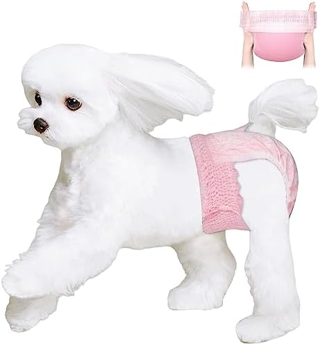 Disposable Dog Diapers Female, Just Pull It Up, Doggie Diapers for Female Dogs, Strong Absorbency | Leak Proof, for Dogs in Heat | Elderly | Disabled, M 10 PCS
