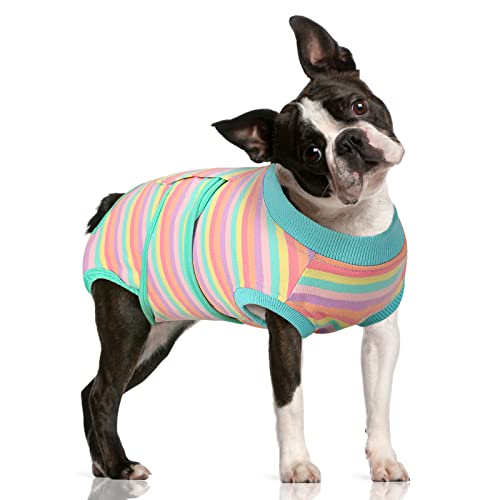 FUAMEY Recovery Suit for Dogs After Surgery,Soft Breathable Dog Bodysuit E-Collar & Cone Alternative Surgical Suit,Male Female Dog Neuter Spay Suits Anti Licking Wounds Onesie Mint Green Stripes M