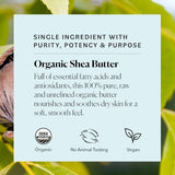 Sky Organics Organic Shea Butter, Replenishing Butter for Body & Face, Soothes, Softens and Boosts Skin's Overall Moisture and Radiance, Suitable for Dry Skin, USDA Certified Organic Skin Care, 8 Oz