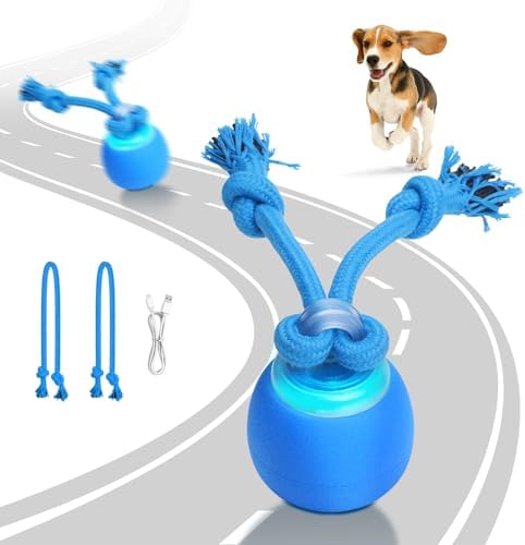 Interactive Dog Toys Electric Dog Ball Touch Wake-up with Dogs Chirping Rechargeable Toys Indoor & Outdoor Fun