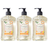 A LA MAISON Liquid Soap, Citrus Blossom - Uses: Hand and Body, Triple Milled, Essential Oils, Biodegradable, Plant Based, Vegan, Cruelty-Free, Alcohol & Paraben Free (16.9 oz, 3 Pack)