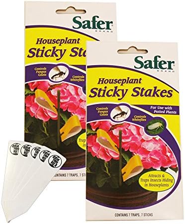 Safer Brand 5025 Houseplant Sticky Stakes Insect Trap, 14Traps - (2 Pack)