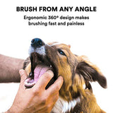 Jasper Dog Toothbrush - 360º Finger Tooth Brush Kit Ergonomic Design, Full Surround Bristles for Easy Teeth Cleaning, Dental Care for Puppies, Cats and Small Pets, 4-Pack Multi-Colored