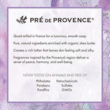 Pre de Provence Artisanal Soap Bar, Enriched with Organic Shea Butter, Natural French Skincare, Quad Milled for Rich Smooth Lather, Lily Of The Valley, 8.8 Ounce