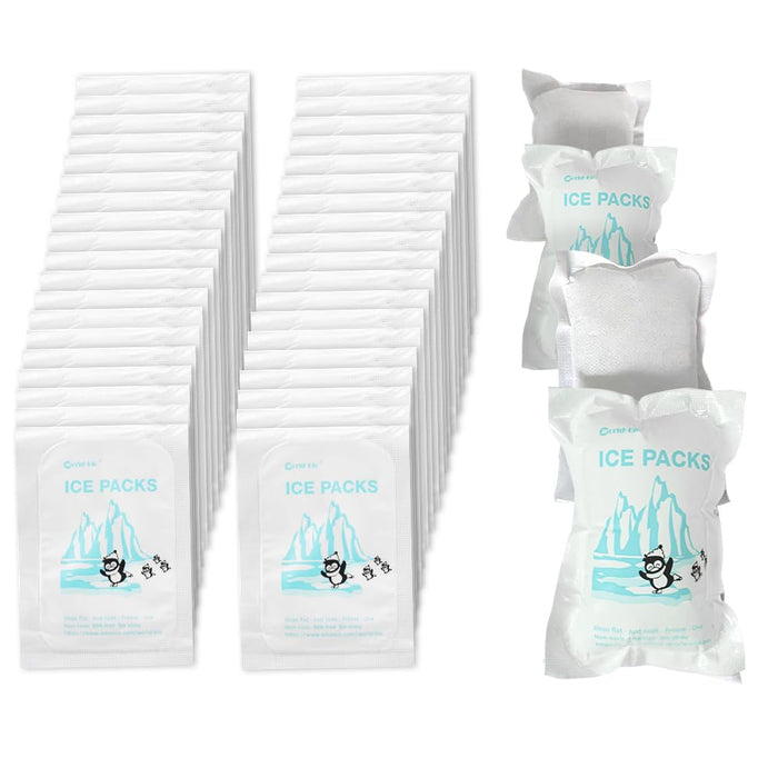 WORLD-BIO Dry Ice for Shipping Frozen Food & Travel, Long Lasting Cold Packs for Cooler 96 Packs 4.7" x 3.3", Small Freezer Packs for Shipping, Bulk Reusable Dry Ice Packs Cool Pack for Shipping