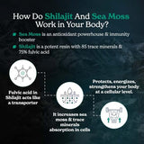 Better Alt Shilajit Seamoss Capsules