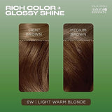 Clairol Natural Instincts Demi-Permanent Hair Dye, 6W Light Warm Brown Hair Color, Pack of 3