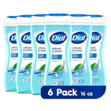 Dial Body Wash, Refresh & Renew Spring Water, 16 fl oz, Pack of 6