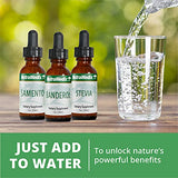 NutraMedix Avea Turmeric Extract - Liquid Turmeric Supplement for Stress, Mood Support & Promoting a Healthy Inflammatory Response - Daily Stress Relief Drops (1oz / 30ml)