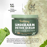 Detox Scrub 8.8 oz with Peppermint, Aloe Vera and Walnut Shell Powder, Underarm Scrub Helps on Removing Odor, Deep Cleanse & Exfoliating, for Legs, Knee, Feet, Hands Whole Body, Armpit