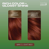 Clairol Natural Instincts Demi-Permanent Hair Dye, 6RR Light Red Hair Color, Pack of 3