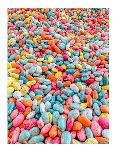 Summer Themed Sensory Beans - Colorful Sensory Bin Filler - 2 Cups