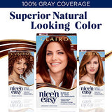 Clairol Nice'n Easy Permanent Hair Dye, 4R Dark Auburn Hair Color, Pack of 3