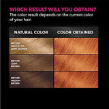 Garnier Hair Color Olia Ammonia-Free Brilliant Color Oil-Rich Permanent Hair Dye, 7.45 Dark Fire Ruby, 2 Count (Packaging May Vary)