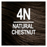 Naturtint Permanent Hair Color 4N Natural Chestnut (Pack of 6), Ammonia Free, Vegan, Cruelty Free, up to 100% Gray Coverage, Long Lasting Results