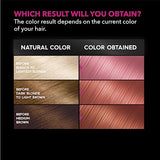 Garnier Hair Color Olia Ammonia-Free Brilliant Color Oil-Rich Permanent Hair Dye, 7.20 Dark Rose Quartz, 2 Count (Packaging May Vary)