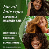 Herbal Essences Argan Oil of Morocco Shampoo & Conditioner Set, Repair & Smooth, Kew Endorsed, Fizzy Citrus Scent, Paraben-Free, Safe for Color-Treated Hair, pH-Balanced, 20.2 Fl Oz Each, 2 Pack